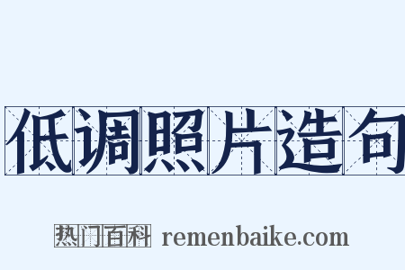 低调照片造句是什么意思的图片